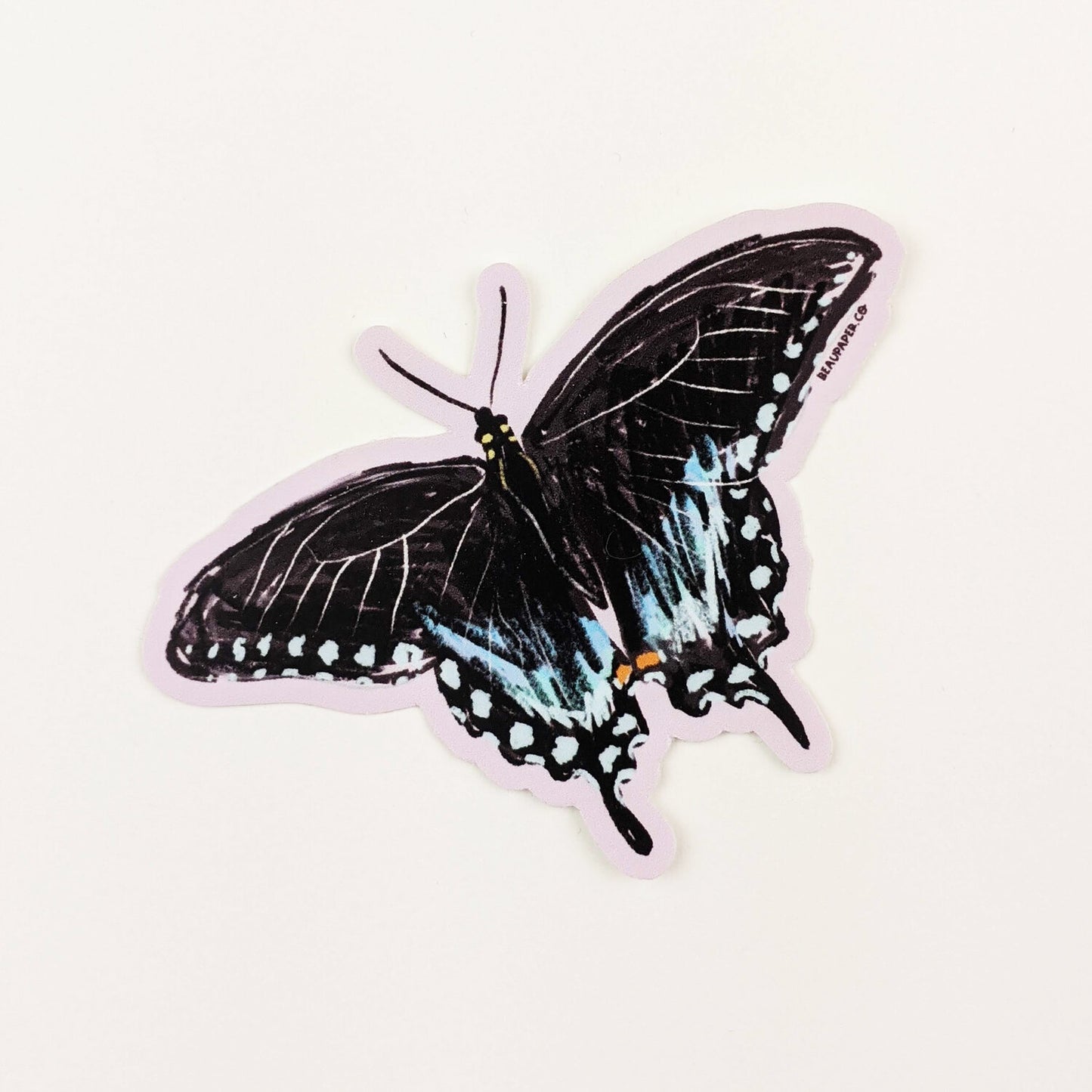 Spicebush Swallowtail Butterfly Sticker