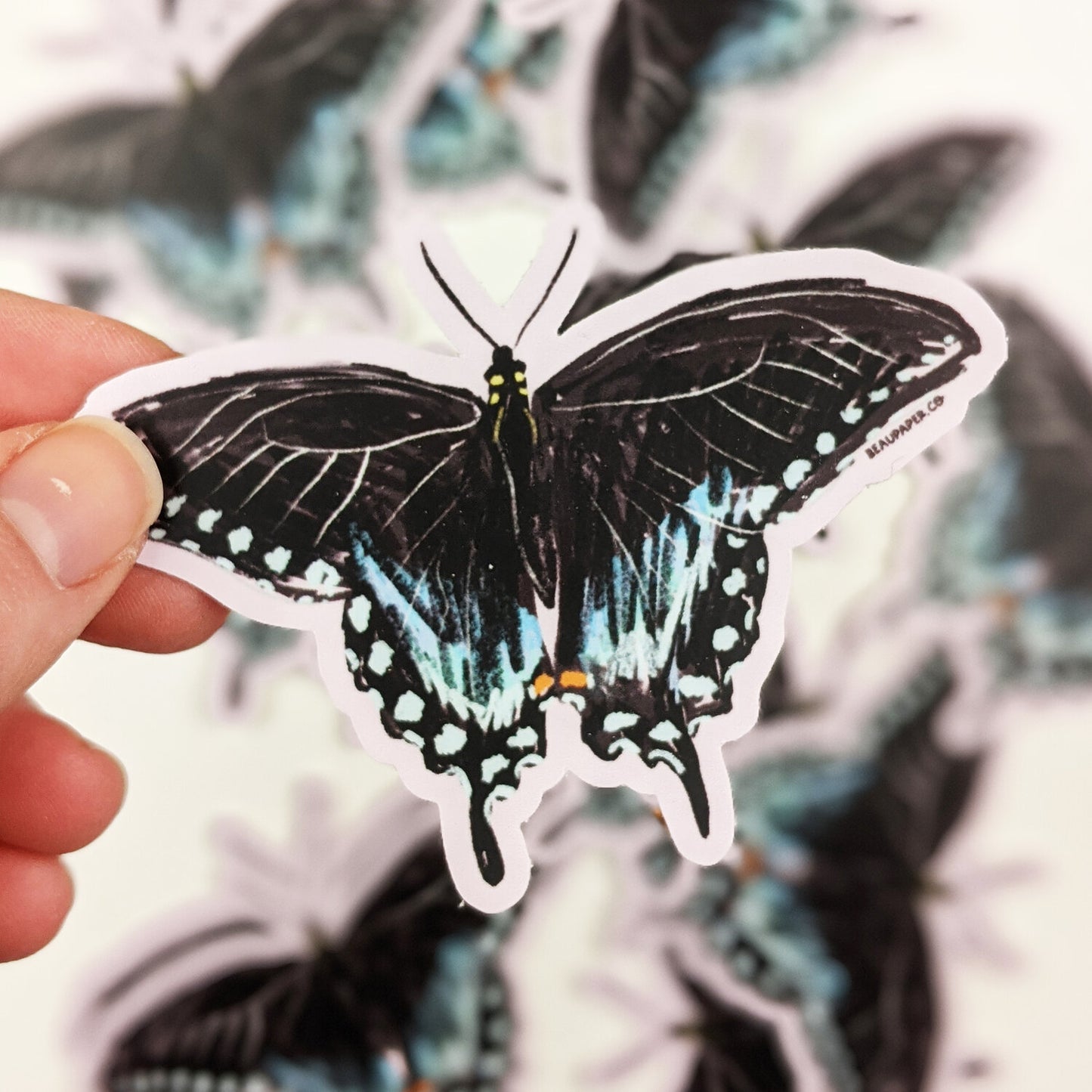 Spicebush Swallowtail Butterfly Sticker