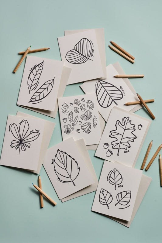 Leafy Coloring Cards: Boxed Set of 8